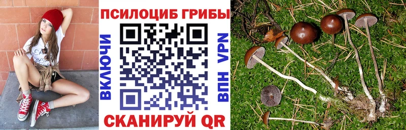 Псилоцибиновые грибы GOLDEN TEACHER  Слюдянка 